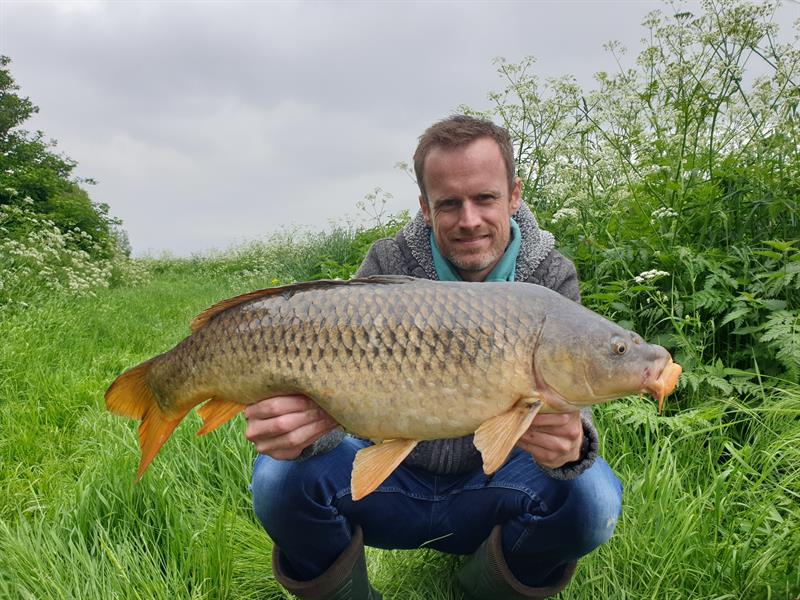 Schubkarper van 16 pond