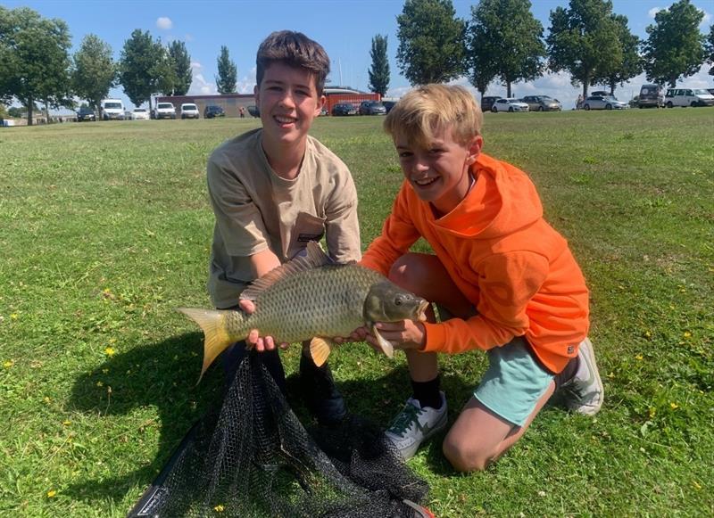 Schubkarper van 46-50 cm