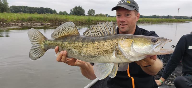 Snoekbaars van 73 cm