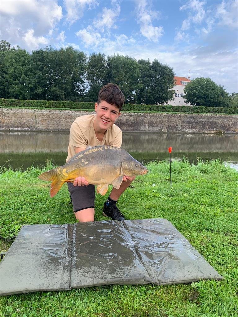 Spiegelkarper van 56-60 cm
