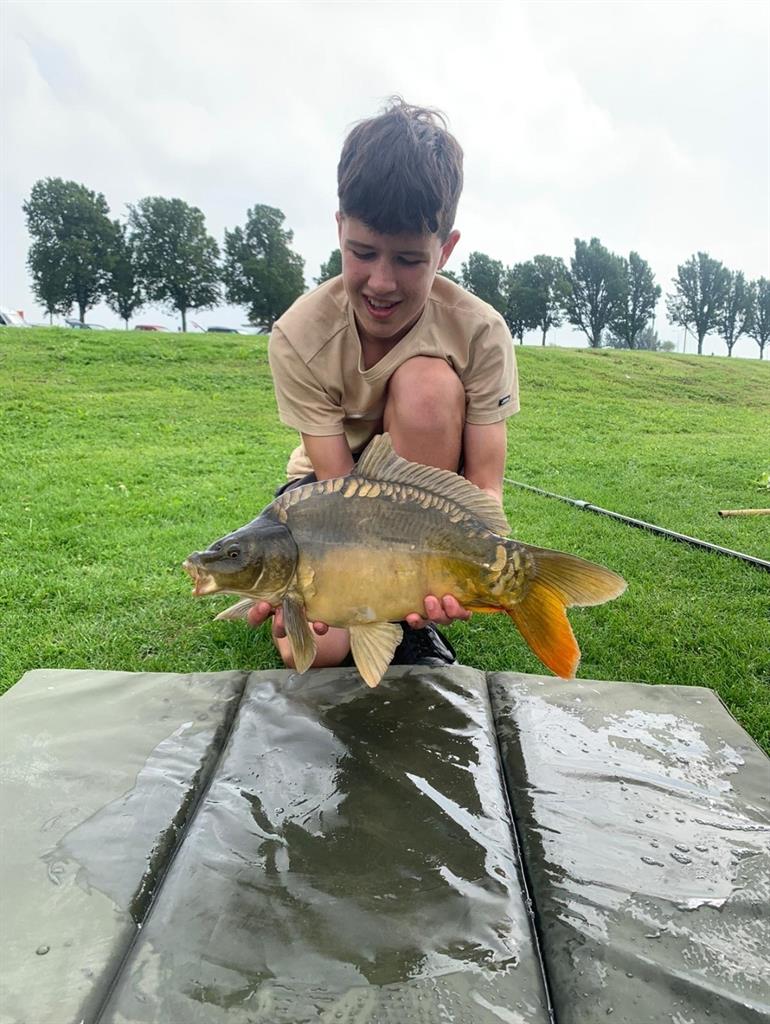 Spiegelkarper van 51-55 cm