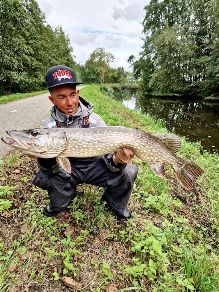 Snoek van 81-85 cm
