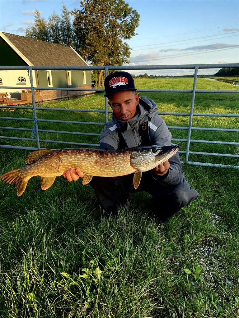 Snoek van 76-80 cm