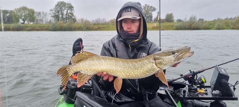 Snoek van 81-85 cm
