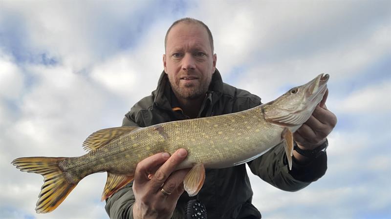 Snoek van 56-60 cm