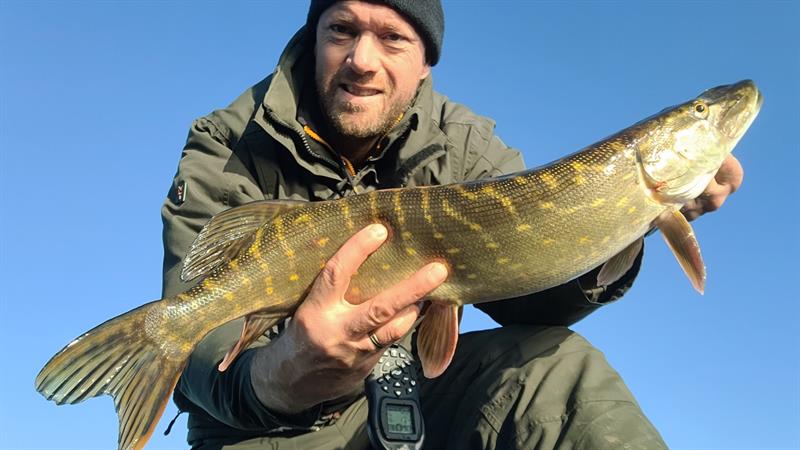Snoek van 71-75 cm