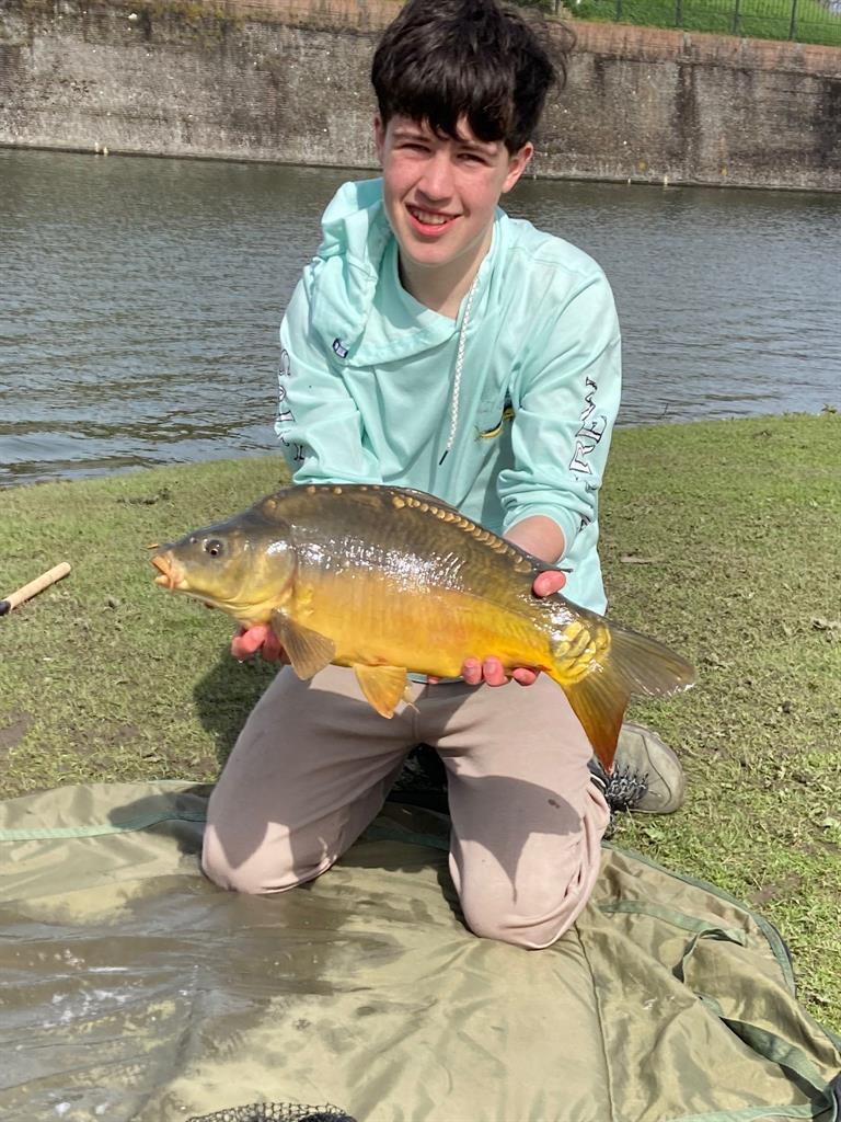 Spiegelkarper van 51-55 cm