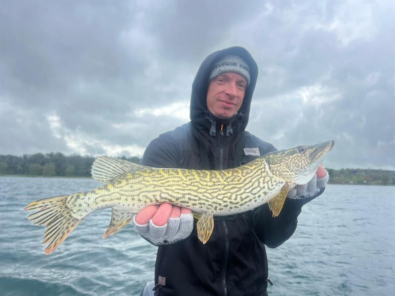 Esox cisalpinus van 65 cm