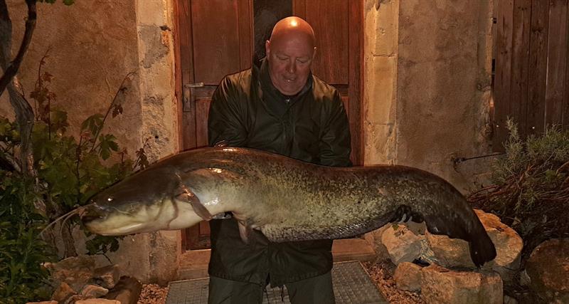 Meerval van 20 kilo & 140 cm