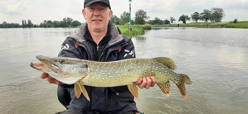 Snoek van 76-80 cm