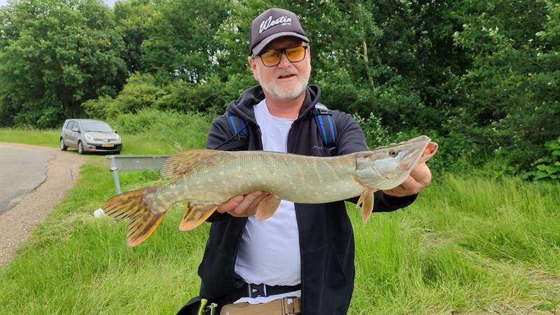 Snoek van 58 cm