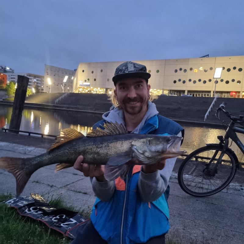 Snoekbaars van 67 cm