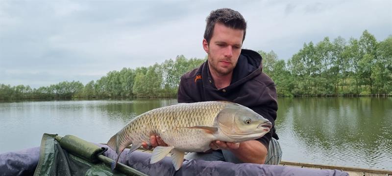 Graskarper van 9 kilo & 76-80 cm