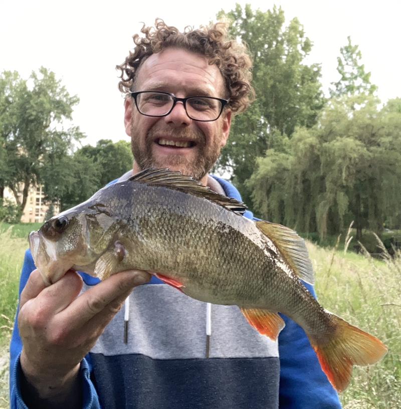 Baars van 40 cm