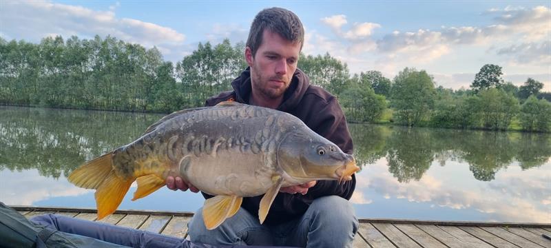 Rijenkarper van 7300 gram