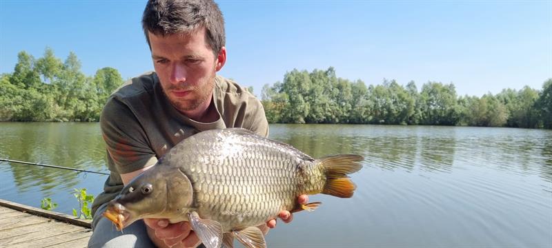 Schubkarper van 2 kilo