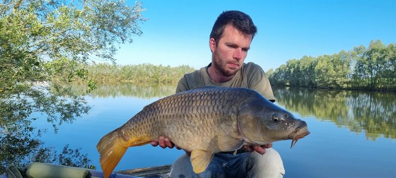 Schubkarper van 6 kilo