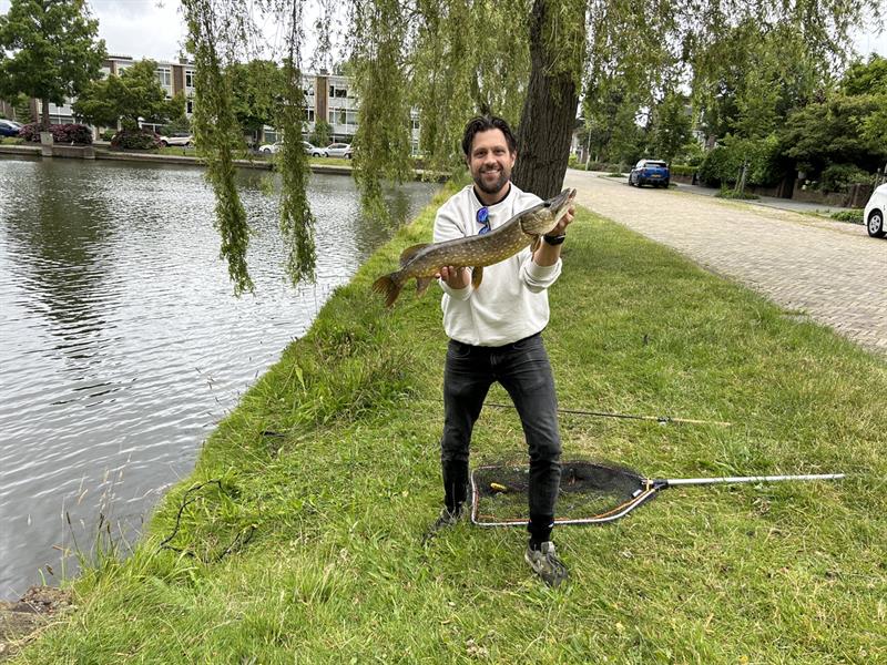 Snoek van 56-60 cm
