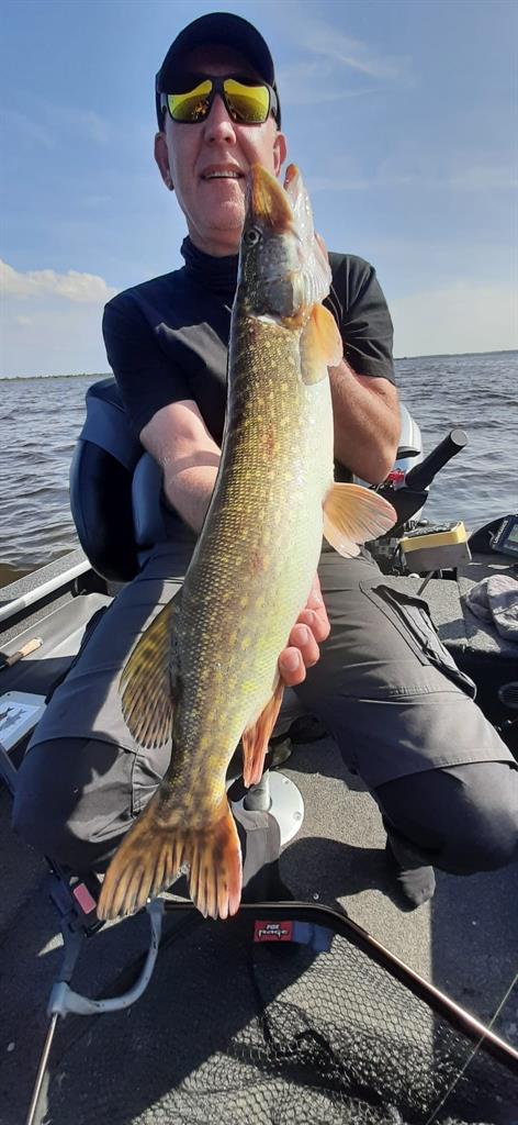 Snoek van 66-70 cm
