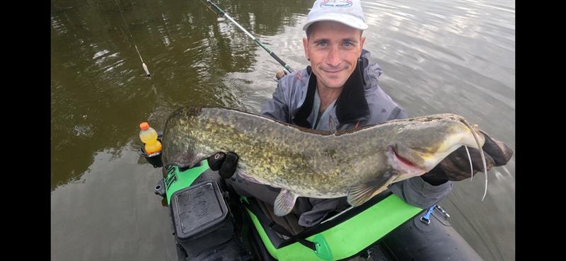 Meerval van 75 cm