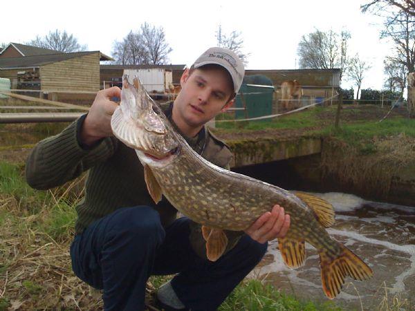 Snoek van 79 cm