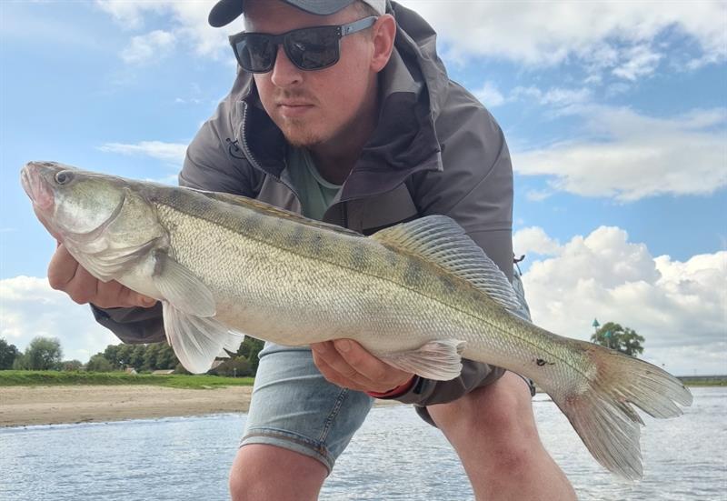 Snoekbaars van 61-65 cm
