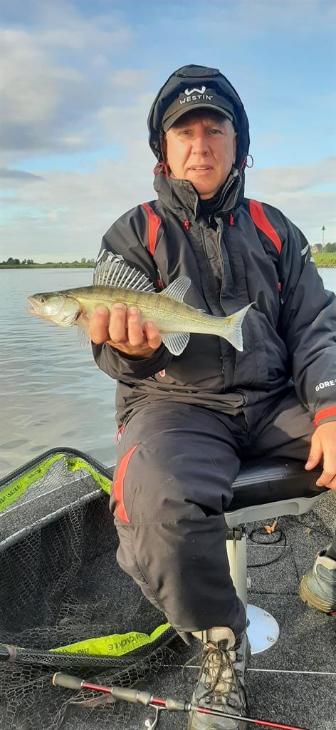 Snoekbaars van 36-40 cm