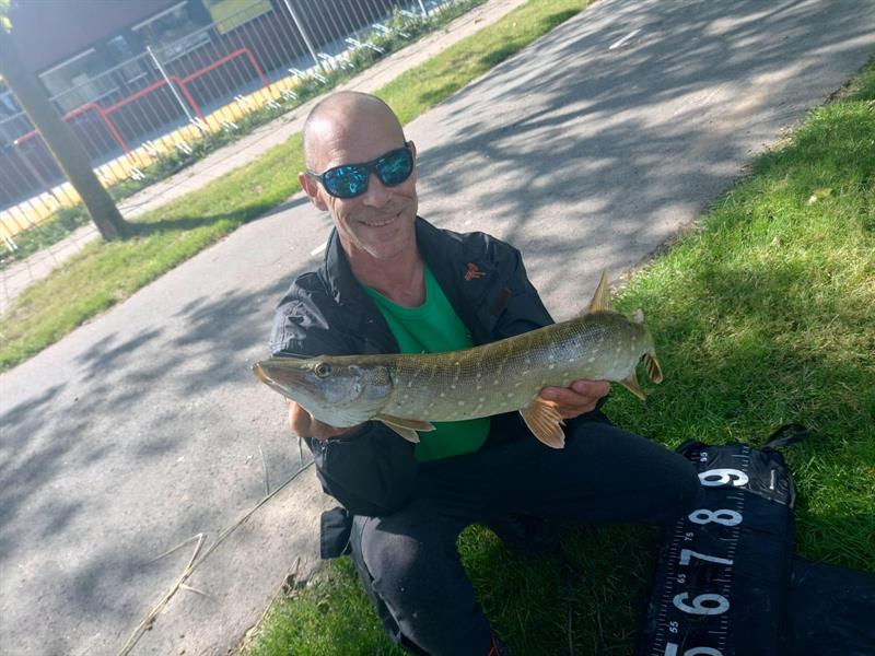 Snoek van 68 cm