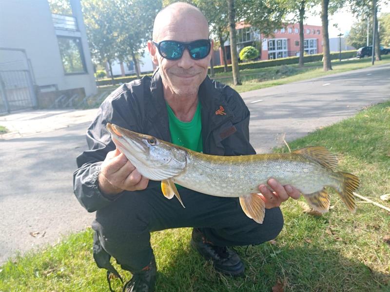 Snoek van 65 cm