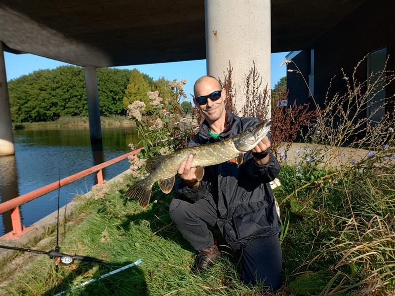 Snoek van 65 cm
