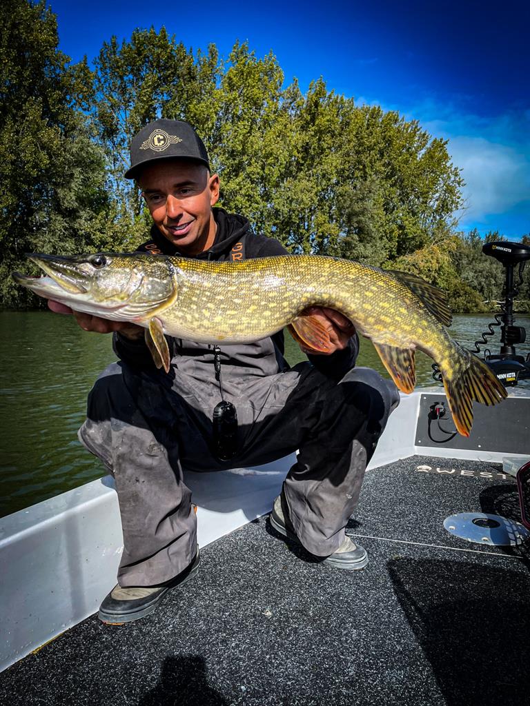 Snoek van 76-80 cm