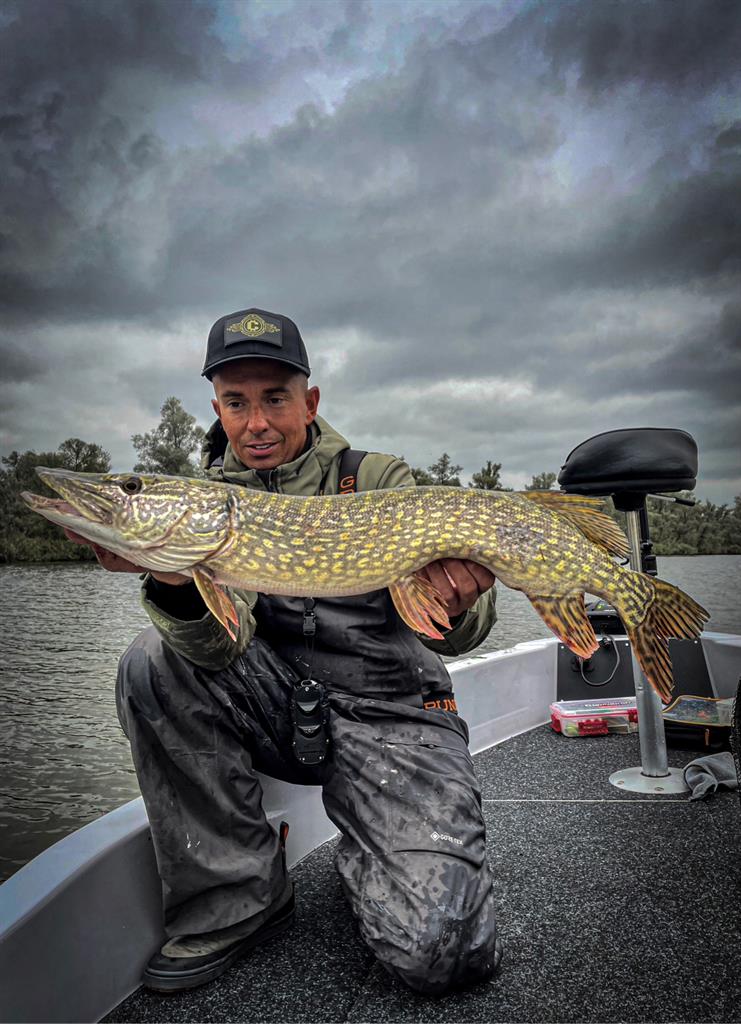 Snoek van 81-85 cm