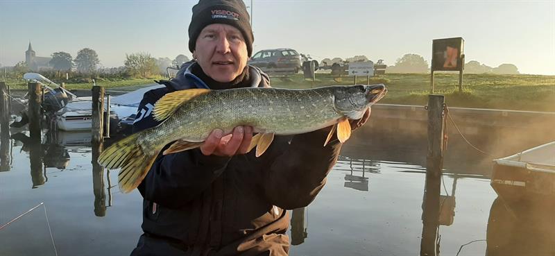Snoek van 51-55 cm
