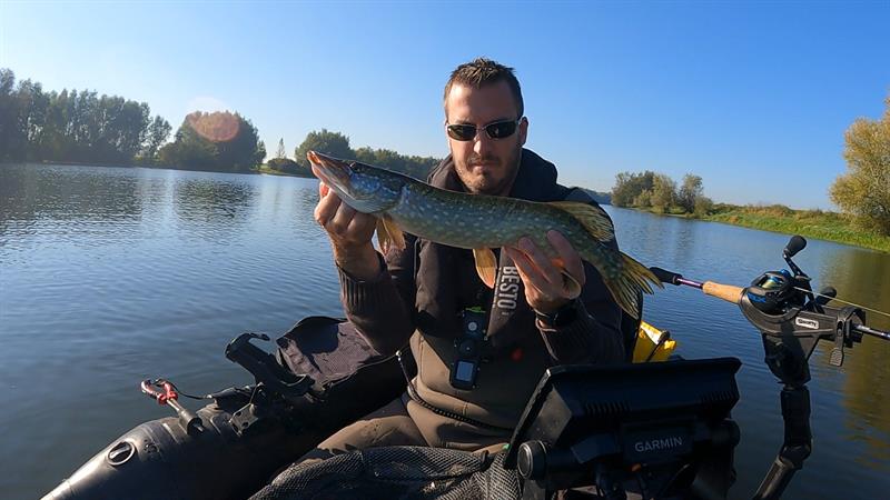 Snoek van 52 cm