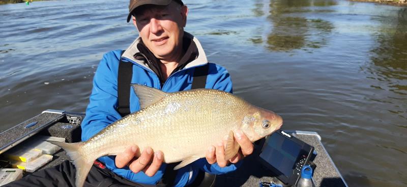 Brasem van 51-55 cm