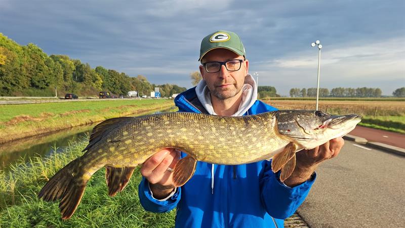 Snoek van 77 cm