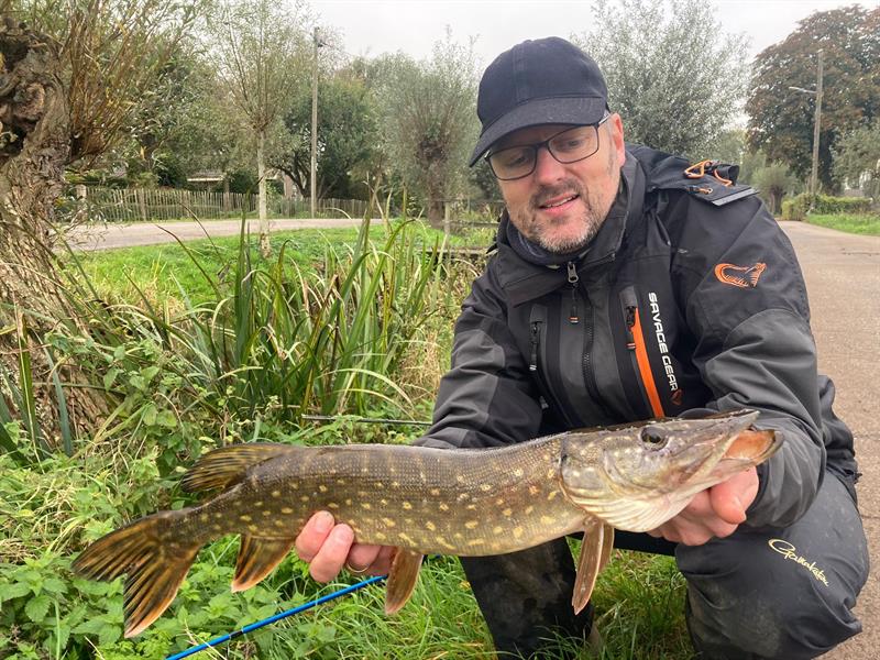 Snoek van 56-60 cm