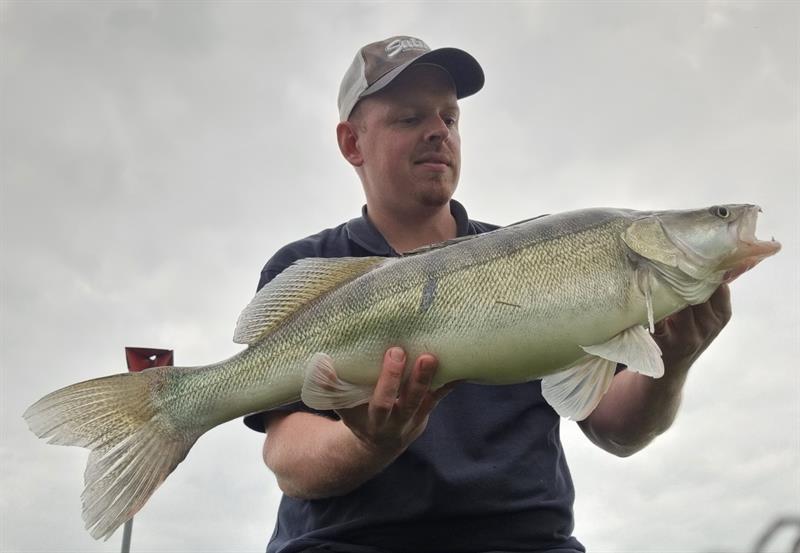 Snoekbaars van 74 cm
