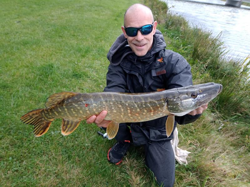 Snoek van 70 cm