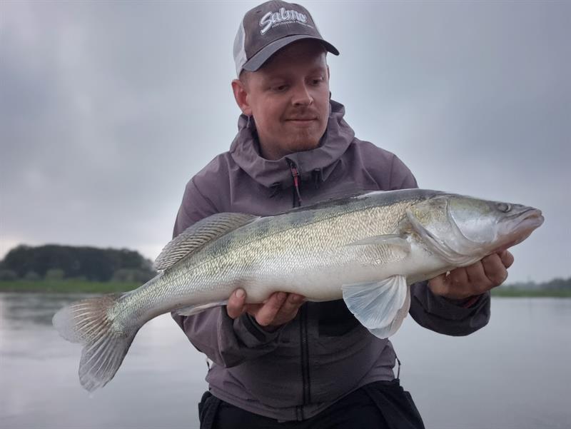 Snoekbaars van 71 cm