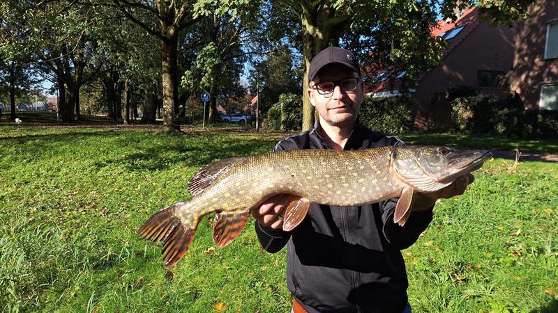 Snoek van 75 cm
