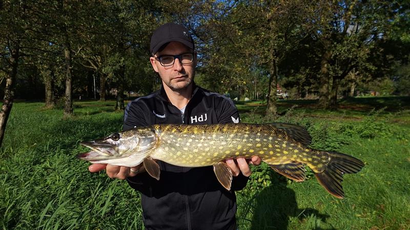 Snoek van 70 cm