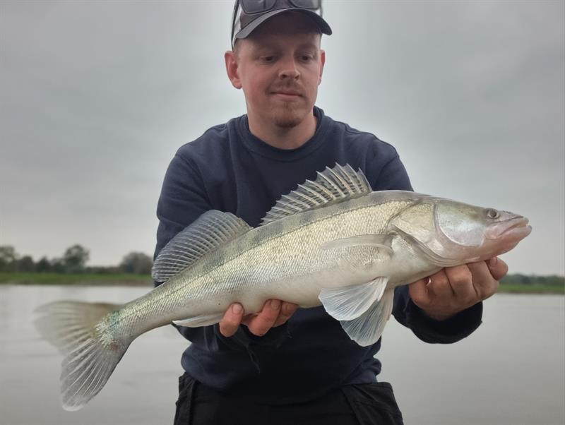 Snoekbaars van 66 cm