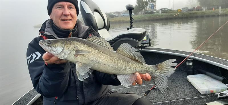 Snoekbaars van 56-60 cm