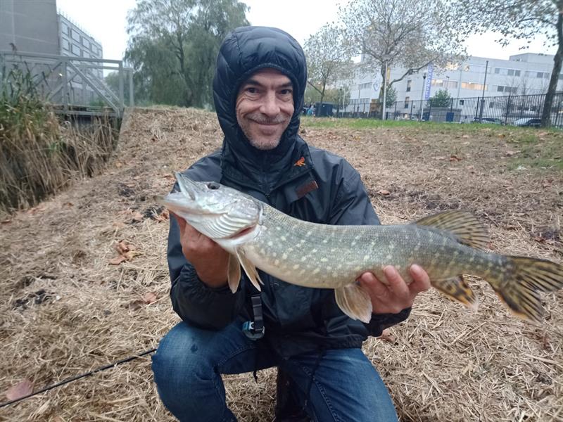 Snoek van 65 cm
