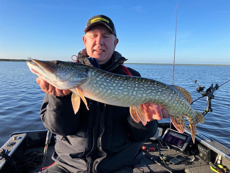 Snoek van 71-75 cm
