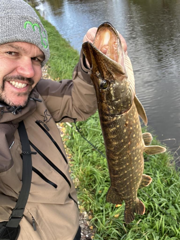 Snoek van 66-70 cm