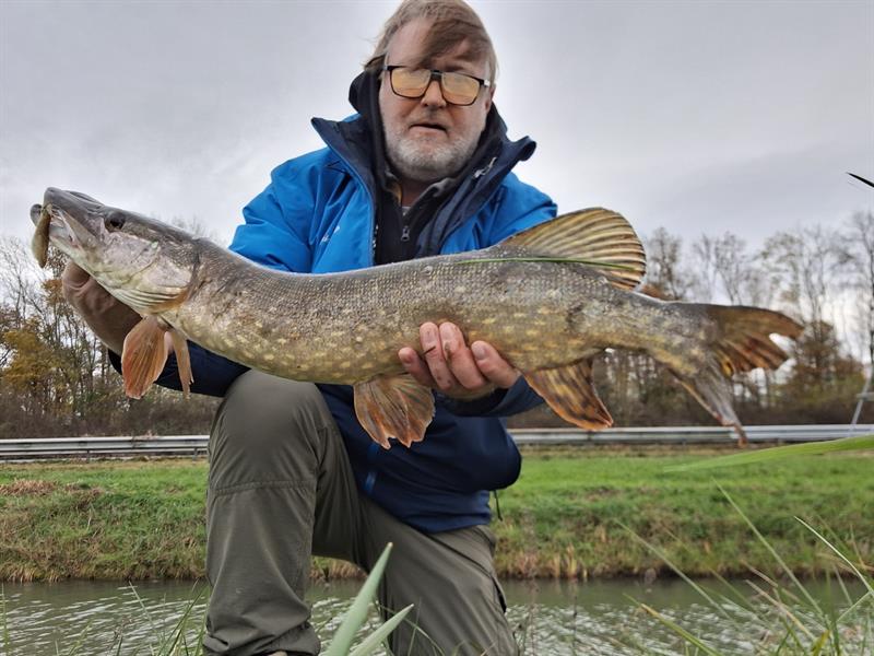Snoek van 76 cm