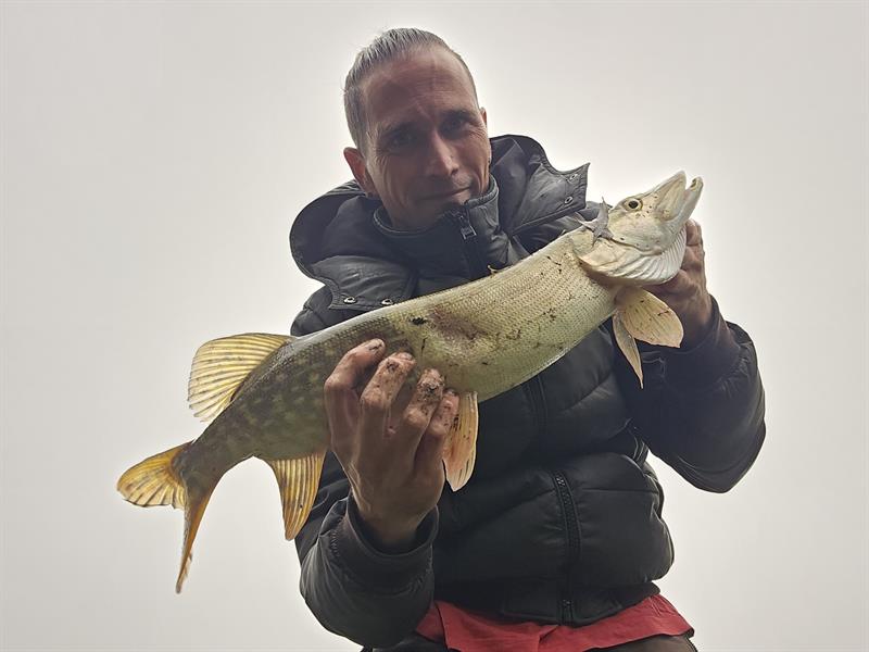 Snoek van 65 cm
