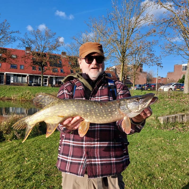 Snoek van 66 cm